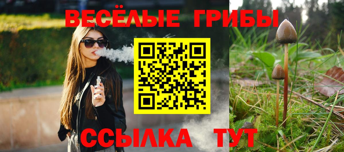 Псилоцибиновые грибы MAGIC MUSHROOMS  Вход с VPN  Воткинск 